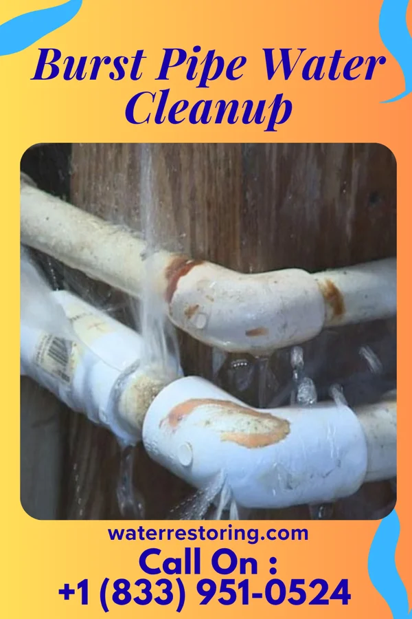 Burst Pipe Water Cleanup in Governors Club, NC