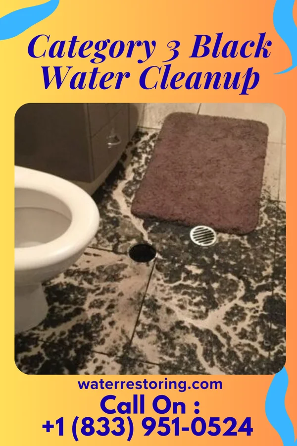 Category 3 Black Water Cleanup in Governors Club, NC