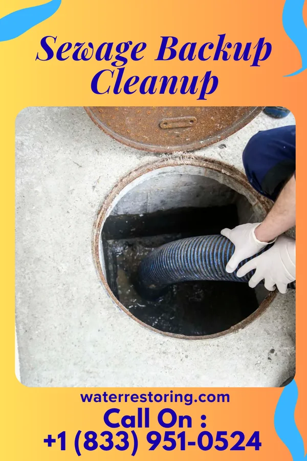 Sewage Backup Cleanup in Governors Club, NC