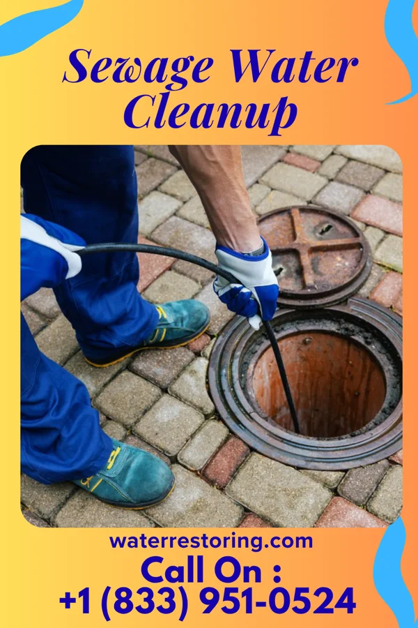 Sewage Water Cleanup in Governors Club, NC