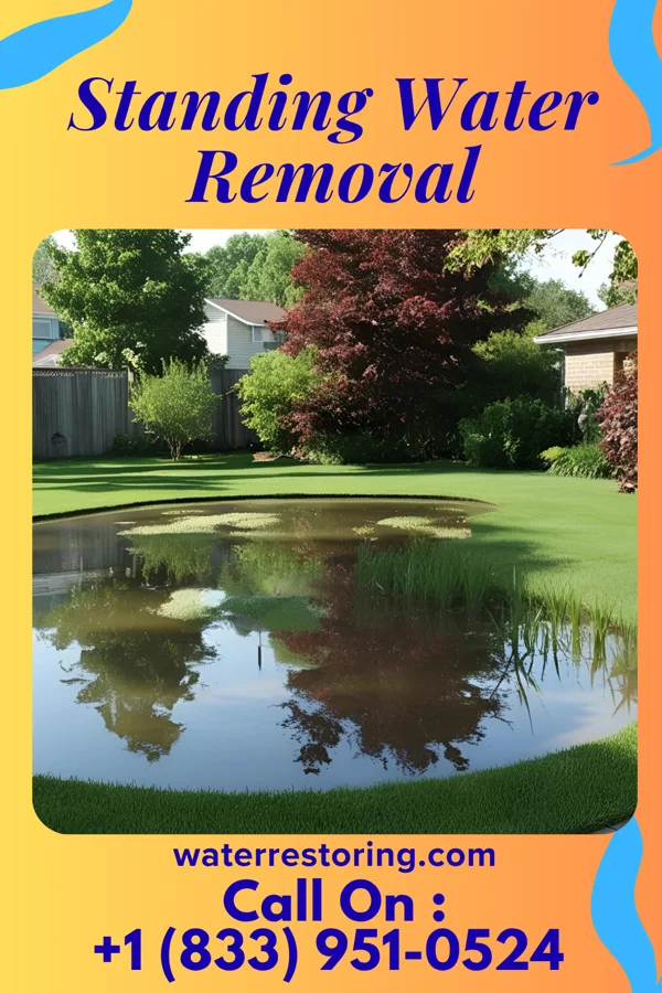 Standing Water Removal in Governors Club, NC